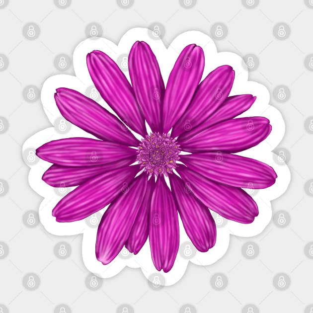 fuchsia color Sticker by lisenok